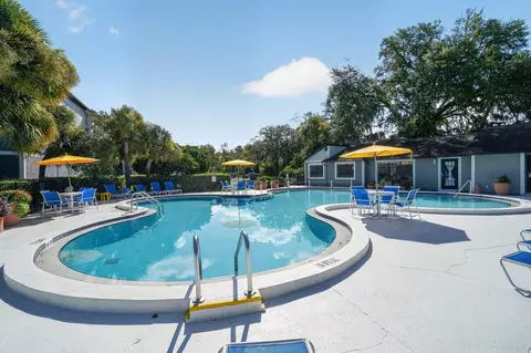 3404 Magenta Way, Bloomingdale, FL 33511 photo 93
