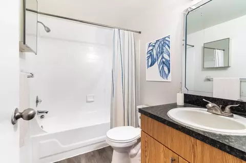 3404 Magenta Way, Bloomingdale, FL 33511 photo 6