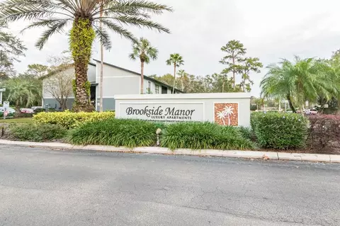 3404 Magenta Way, Bloomingdale, FL 33511 photo 59