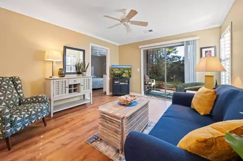 549 Blue Stem Dr, Pawleys Island, SC 29585
