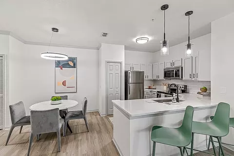 2691 Charleston Town Pl, Orlando, FL 32839 photo 80