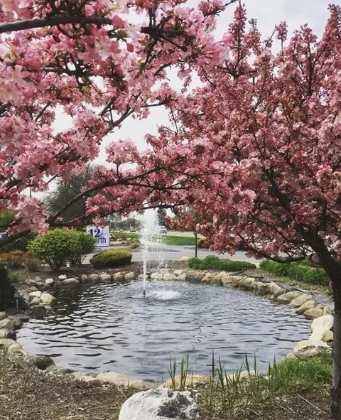 25701 W 12 Mile Rd, Southfield, MI 48034