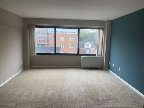 816 Easley St, Silver Spring, MD 20910 photo 14
