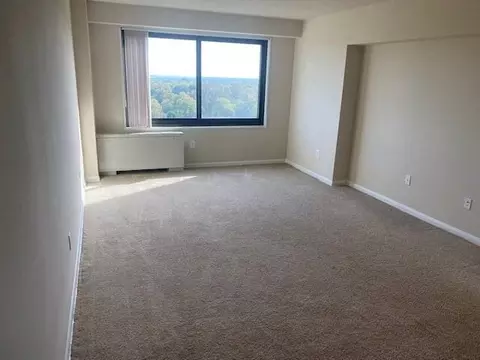 816 Easley St, Silver Spring, MD 20910 photo 38