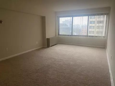 816 Easley St, Silver Spring, MD 20910 photo 27