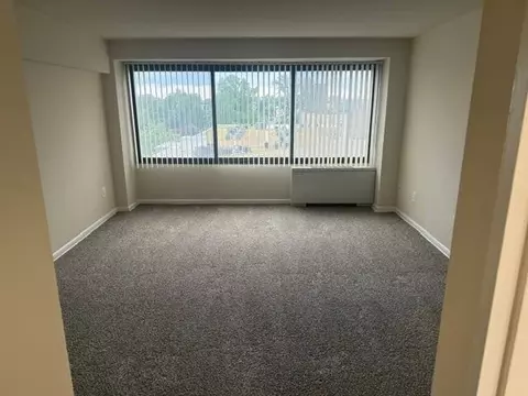 816 Easley St, Silver Spring, MD 20910 photo 10