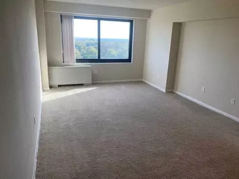 816 Easley St, Silver Spring, MD 20910 photo 39