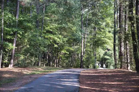 600 Park Summit Blvd, Apex, NC 27523 photo 50