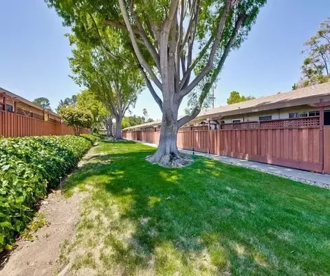 924 Mangrove Ave, Sunnyvale, CA 94086 photo 5