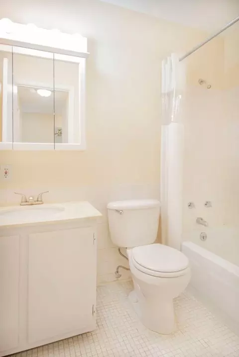 838 3rd Ave, Excelsior, MN 55331 photo 27