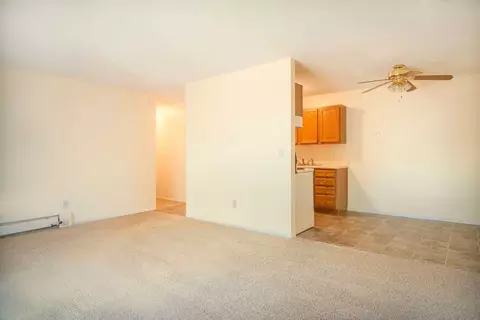 838 3rd Ave, Excelsior, MN 55331 photo 36
