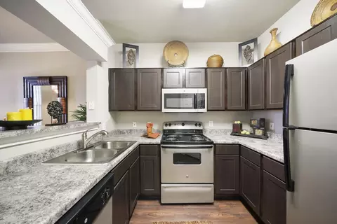 1600 River Pointe Dr #1021, Conroe, TX 77304 photo 4