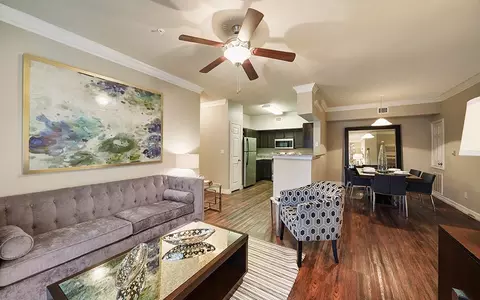 1600 River Pointe Dr #1021, Conroe, TX 77304 photo 9