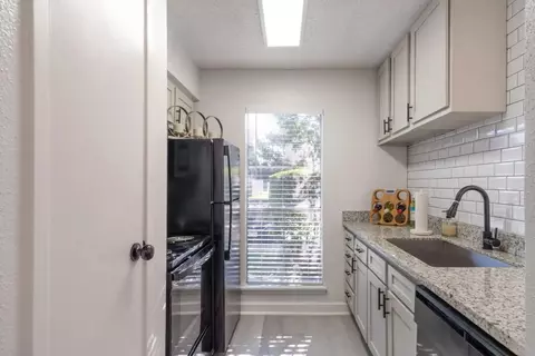 1110 El Camino Village Dr #12-1201, Houston, TX 77058