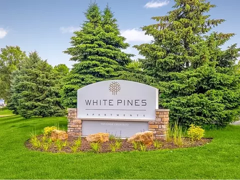 1324 Eagle Creek Blvd #215, Shakopee, MN 55379