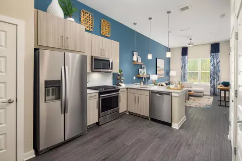1399 Herrington Rd #8206, Lawrenceville, GA 30044