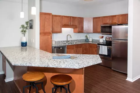 9700 Waterstone Pl #1211, Minnetonka, MN 55305