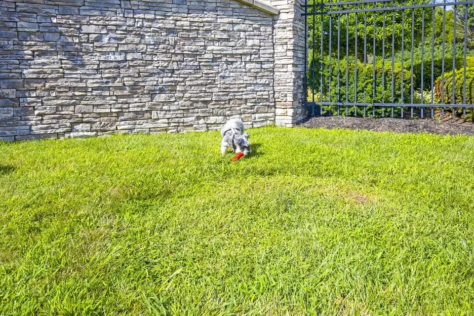  9606 Clubview Dr #9312202M, Louisville, KY 40291 photo 28