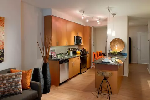 1150 Ripley St #01310, Silver Spring, MD 20910 photo 10