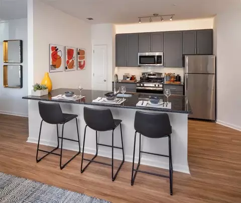 309 Washington St #4205, Conshohocken, PA 19428
