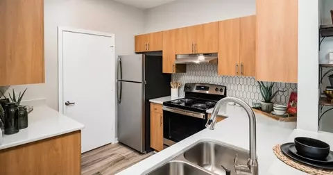 18510 The Commons Blvd #8535303, Cornelius, NC 28031 photo 22