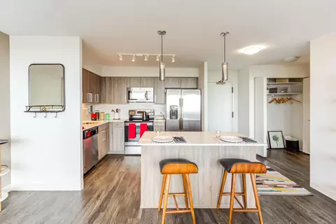 901 S Ashland Ave #02-1117, Chicago, IL 60607