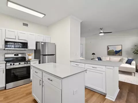 4141 Horizon North Pkwy #009-933, Dallas, TX 75287