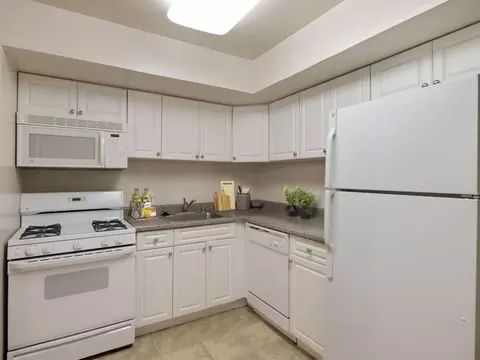 1901 Snow Meadow Ln #T1, Baltimore, MD 21209