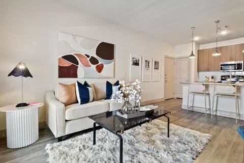 1476 E Mccarty Ln #5307, San Marcos, TX 78666