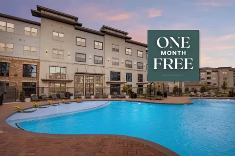 14818 Vintage Preserve Pkwy #1317, Houston, TX 77070