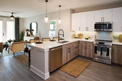 914 Grays Mill Rd #3505, Charlotte, NC 28215