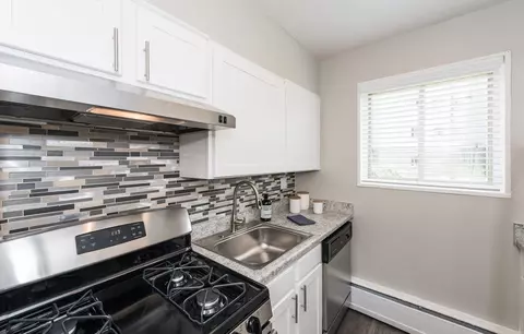 1809 Fox St #101, Adelphi, MD 20783 photo 5