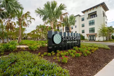 2990 Citron Gold Blvd #2217, Lutz, FL 33559