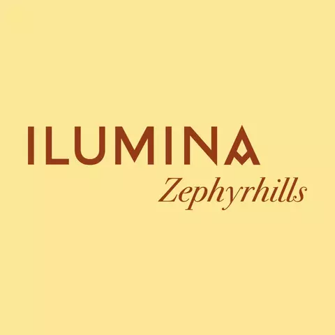 7650 Gall Blvd #303, Zephyrhills, FL 33541