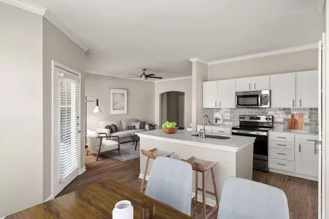 692 Lake Carolyn Pkwy #430E, Irving, TX 75039