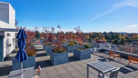 1020 NE 63rd St #516, Seattle, WA 98115