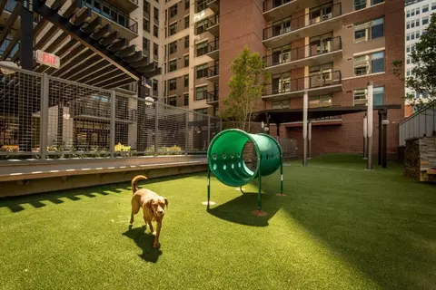 55 M St NE #0610, Washington, DC 20002 photo 20