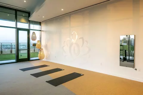 2850 Fannin St #1312, Houston, TX 77002