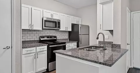 4900 Pear Ridge Dr #4503, Dallas, TX 75287