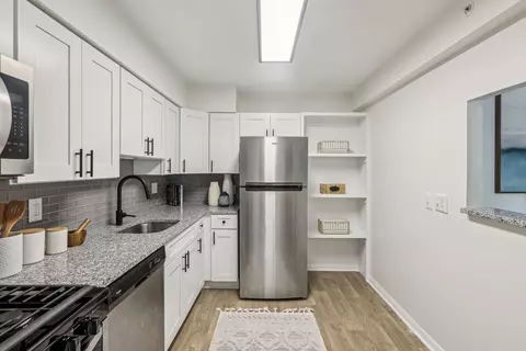 5764 Stevens Forest Rd #764108, Columbia, MD 21045