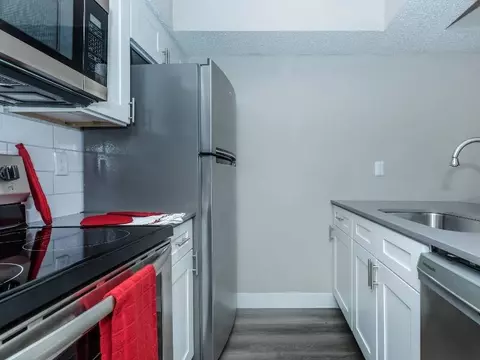 4141 Rosemeade Pkwy #1308, Dallas, TX 75287