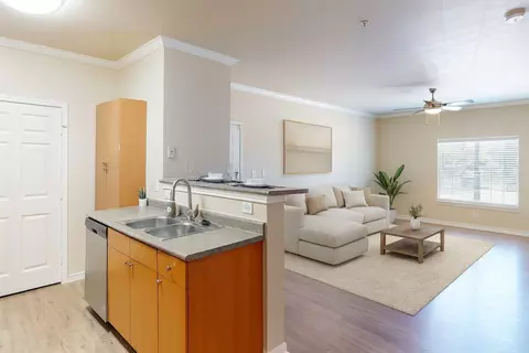 1701 Towne Crossing Blvd #0828, Mansfield, TX 76063