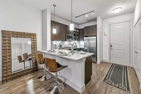 110 W Cityline Dr #5069, Richardson, TX 75082