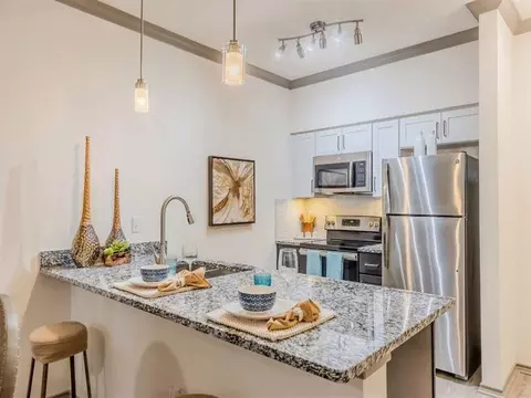 901 N Garden Rdg #2311, Lewisville, TX 75077