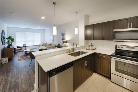 2910 Milam St #324, Houston, TX 77006