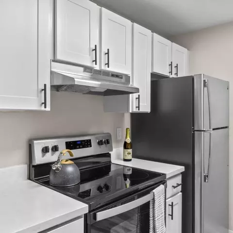 4415 NE 5th St #11D101, Renton, WA 98059