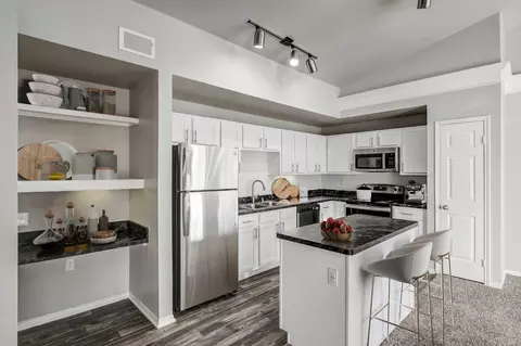 1800 E Spring Creek Pkwy #1322, Plano, TX 75074