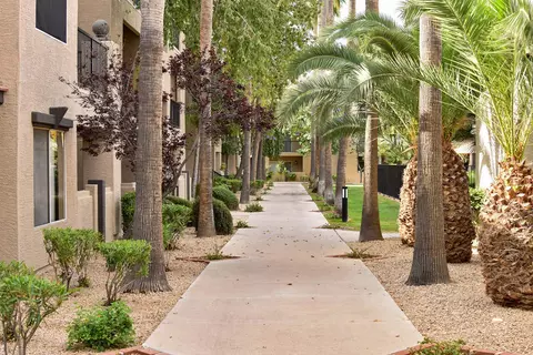 11 E Bell Rd #226, Phoenix, AZ 85022 photo 8