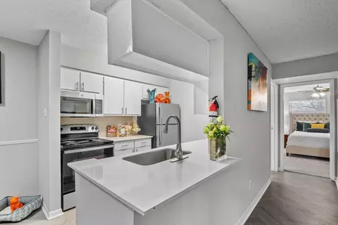 8410 W Bartell Dr #1516, Houston, TX 77054