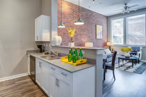855 W Peachtree St NW #1335, Atlanta, GA 30308